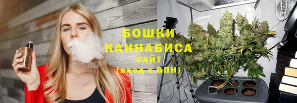 шишки Касимов