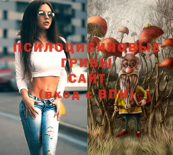 шишки Касимов