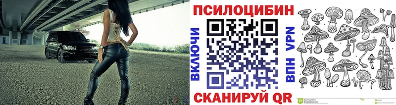 Купить где Гвардейск Галлюциногенные грибы ЛСД